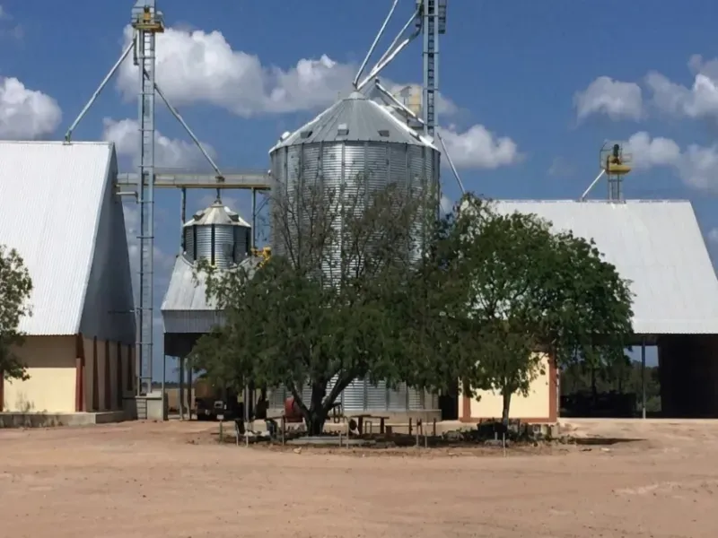 Fazenda em Afonso Cunha/Maranhão — Ref 77IXYU — Imagem 12