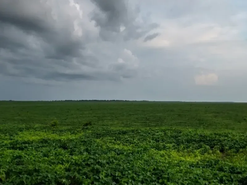 Fazenda em Afonso Cunha/Maranhão — Ref 77IXYU — Imagem 25