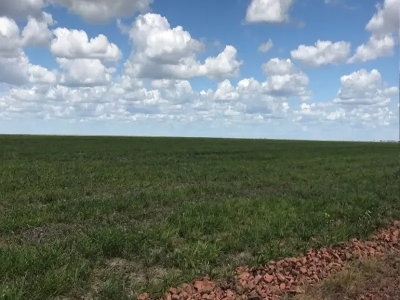 Fazenda em Afonso Cunha/Maranhão — Ref 77IXYU — Imagem 28