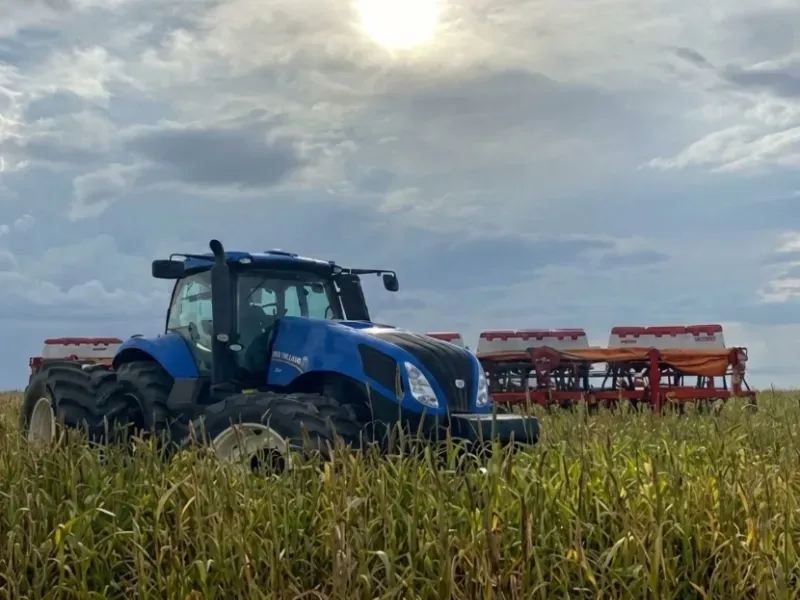 Fazenda em Afonso Cunha/Maranhão — Ref 77IXYU — Imagem 32