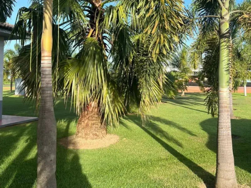 Fazenda em Querência/Mato Grosso — Ref K2CRLQ — Imagem 25