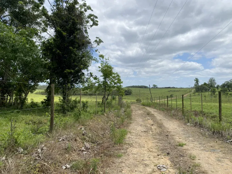 Fazenda em São Paulo/São Paulo — Ref 0EEK3M — Imagem 5