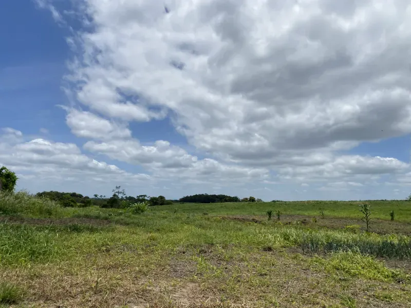 Fazenda em São Paulo/São Paulo — Ref 0EEK3M — Imagem 6