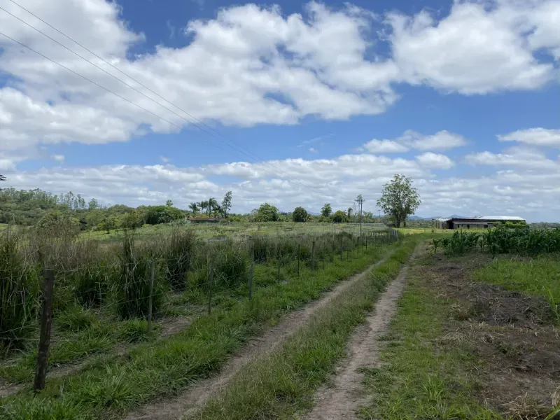 Fazenda em São Paulo/São Paulo — Ref 0EEK3M — Imagem 9