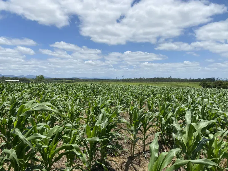 Fazenda em São Paulo/São Paulo — Ref 0EEK3M — Imagem 10