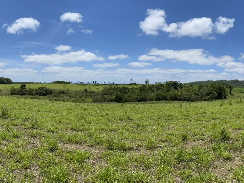 Fazenda em São Paulo/São Paulo — Ref 0EEK3M — Imagem 12