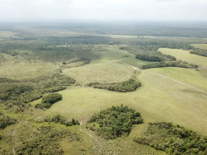 Fazenda em São Paulo/São Paulo — Ref 0EEK3M — Imagem 14