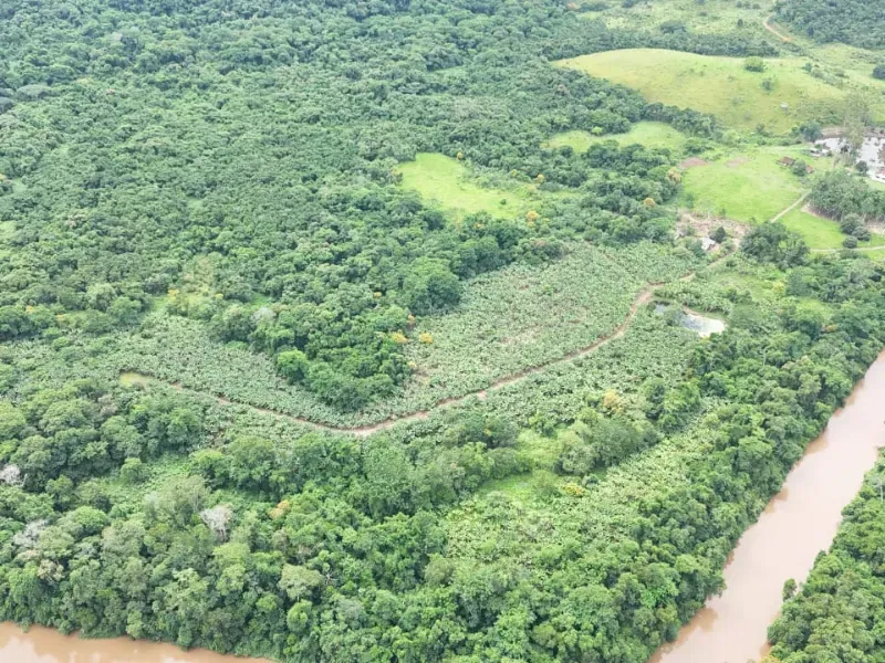 Fazenda em Miracatu/São Paulo — Ref A6R7Z4 — Imagem 4