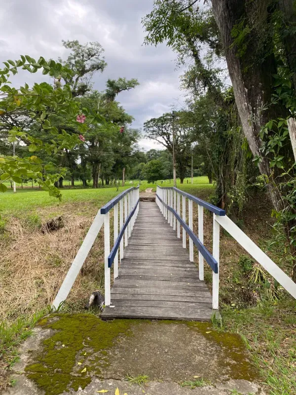 Fazenda em Miracatu/São Paulo — Ref A6R7Z4 — Imagem 11