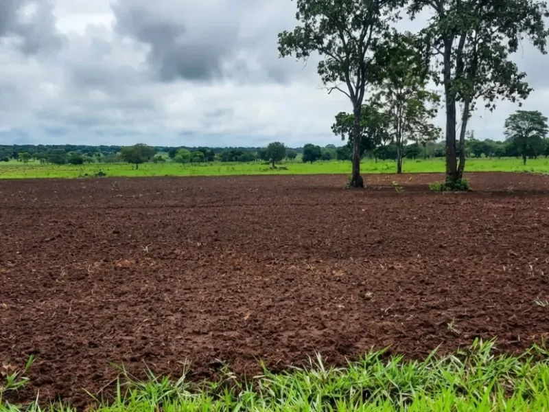 Fazenda em Gaúcha do Norte/Mato Grosso — Ref TZ2Z01 — Imagem 2