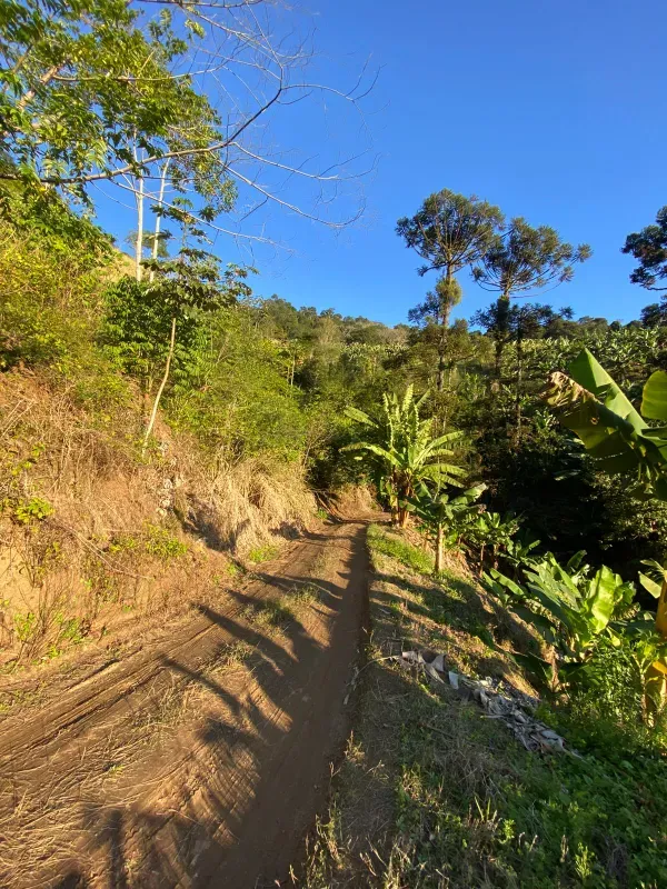 Fazenda em Miracatu/São Paulo — Ref 4WCYL8 — Imagem 4
