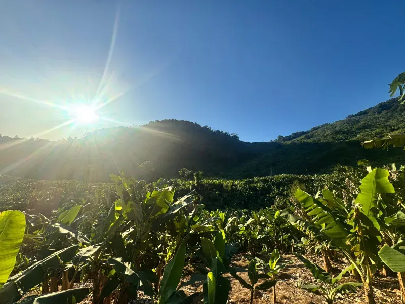 Fazenda em Miracatu/São Paulo — Ref 4WCYL8 — Imagem 6