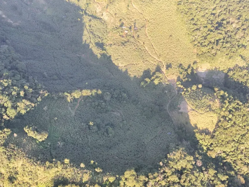 Fazenda em Miracatu/São Paulo — Ref 4WCYL8 — Imagem 9