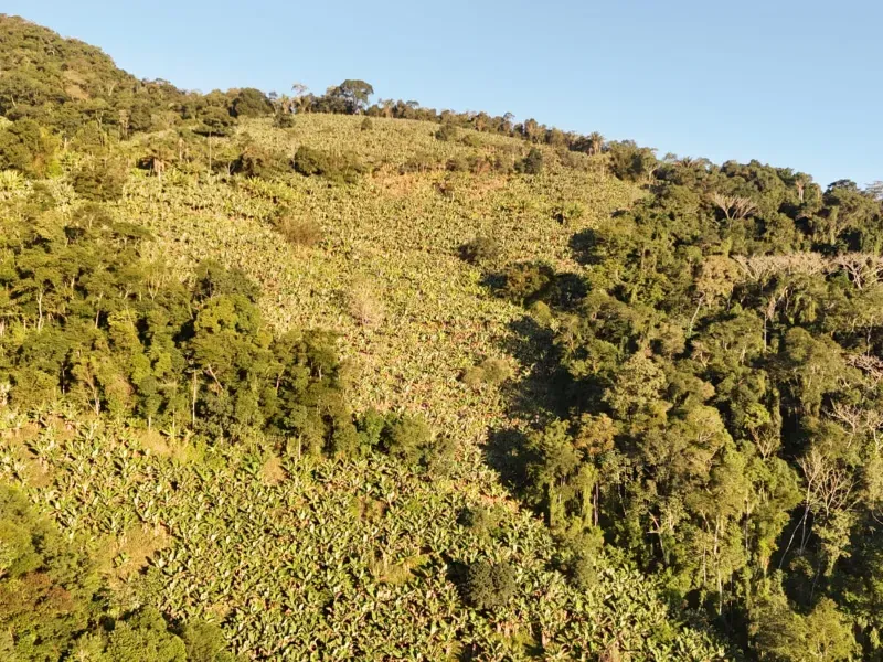Fazenda em Miracatu/São Paulo — Ref 4WCYL8 — Imagem 11