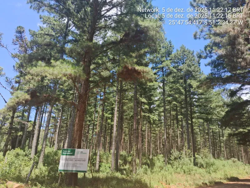 Imóvel rural em Cruz Machado/Paraná — Ref B2X8F11