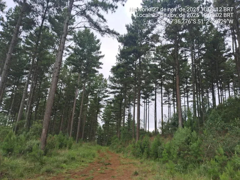 Fazenda em Cruz Machado/Paraná — Ref B2X8F1 — Imagem 2