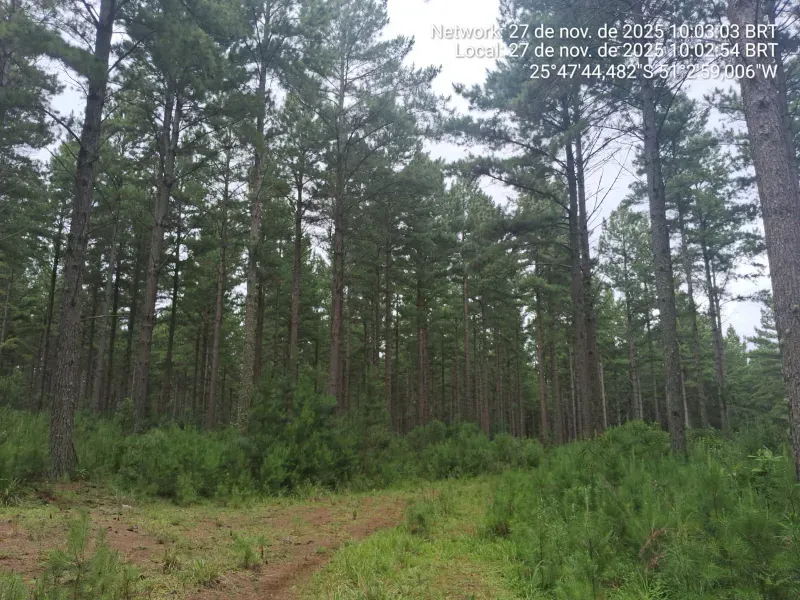 Fazenda em Cruz Machado/Paraná — Ref B2X8F1 — Imagem 4