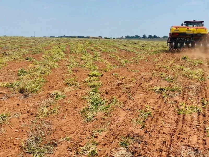Fazenda em Chapada dos Guimarães/Mato Grosso — Ref MMO2XF — Imagem 5