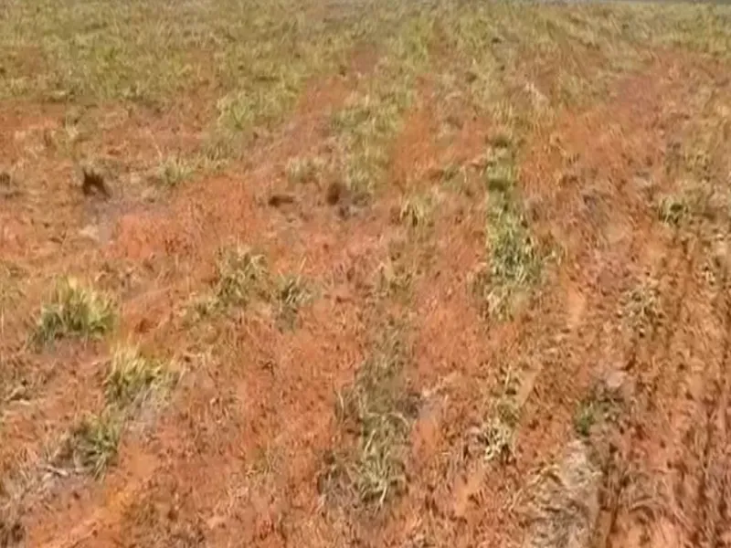 Fazenda em Chapada dos Guimarães/Mato Grosso — Ref MMO2XF — Imagem 9