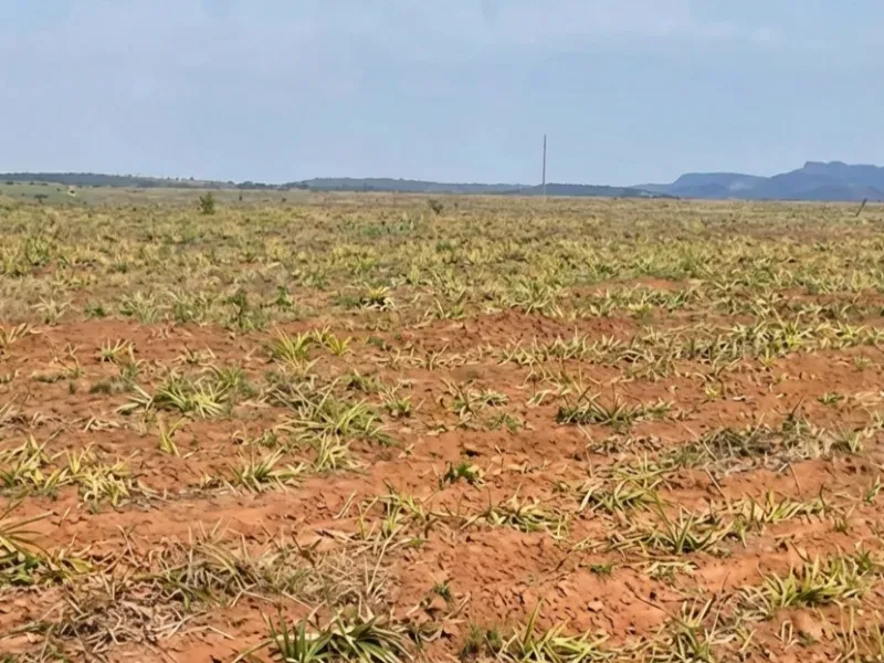 Fazenda em Chapada dos Guimarães/Mato Grosso — Ref MMO2XF — Imagem 10