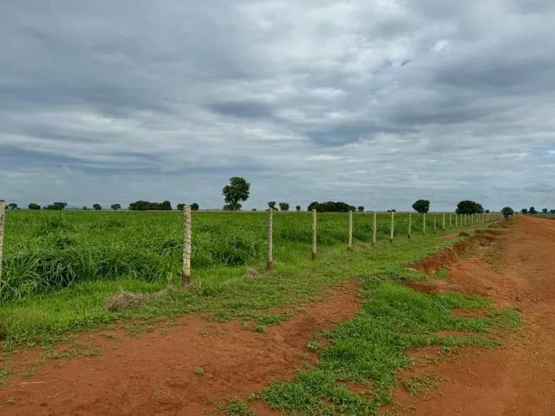Fazenda em Montes Claros de Goiás/Goiás — Ref 5QDMHX — Imagem 2