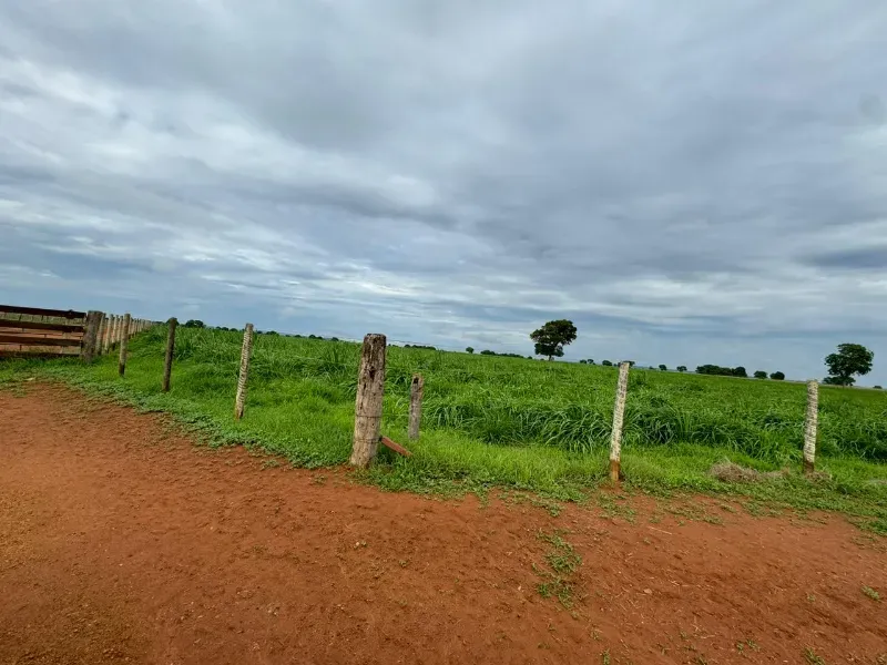 Fazenda em Montes Claros de Goiás/Goiás — Ref 5QDMHX — Imagem 3