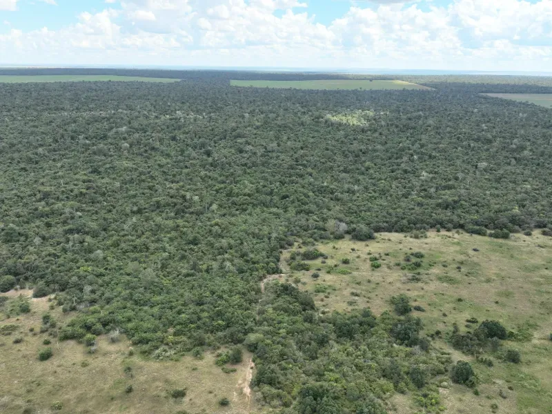 Fazenda em Gaúcha do Norte/Mato Grosso — Ref HKROQA — Imagem 3