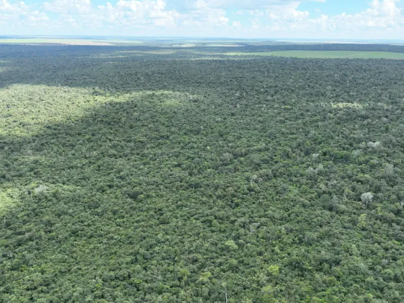 Fazenda em Gaúcha do Norte/Mato Grosso — Ref HKROQA — Imagem 4