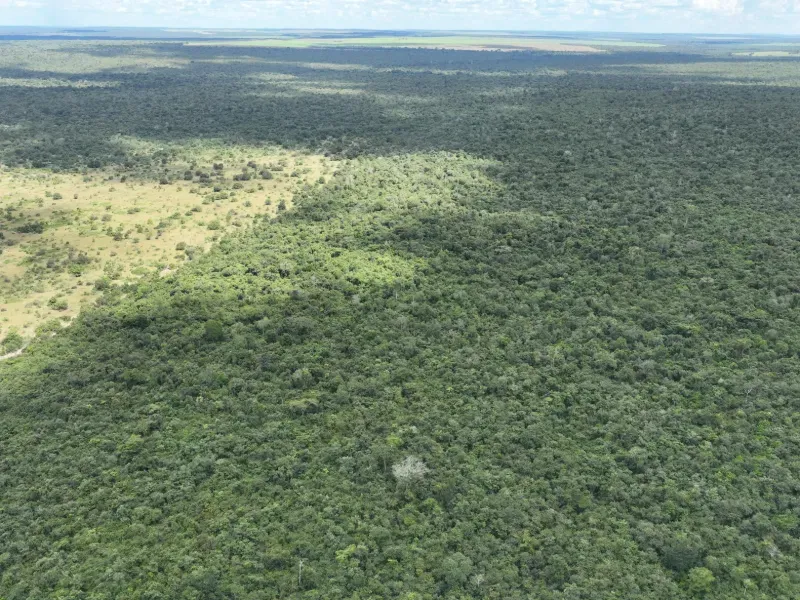 Fazenda em Gaúcha do Norte/Mato Grosso — Ref HKROQA — Imagem 5