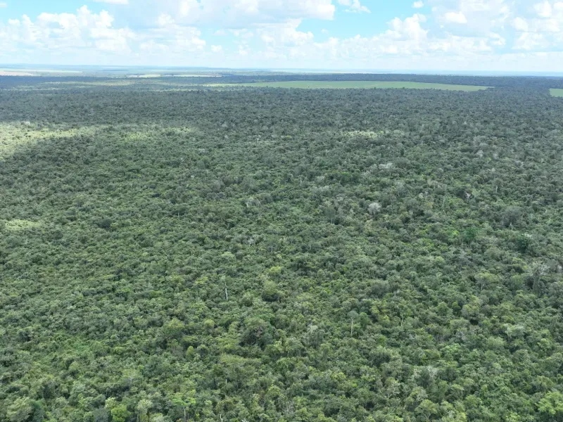 Fazenda em Gaúcha do Norte/Mato Grosso — Ref HKROQA — Imagem 6