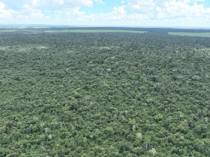 Fazenda em Gaúcha do Norte/Mato Grosso — Ref HKROQA — Imagem 10