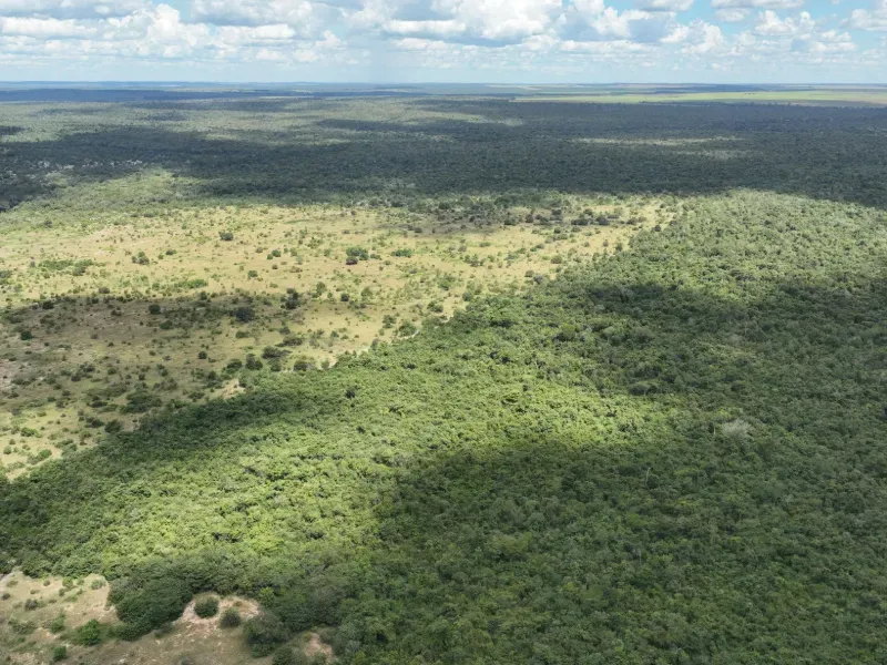 Fazenda em Gaúcha do Norte/Mato Grosso — Ref HKROQA — Imagem 13