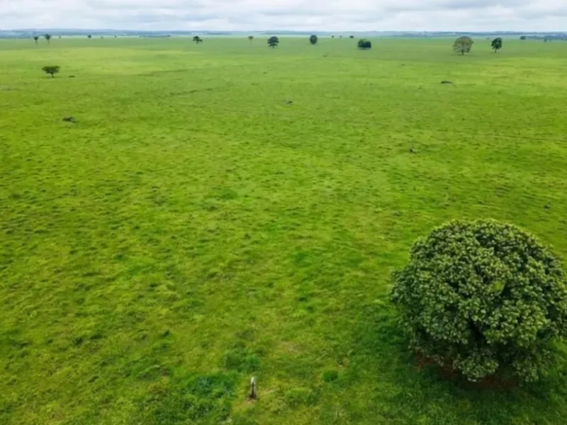 Fazenda em Juína/Mato Grosso — Ref D68FZO — Imagem 2