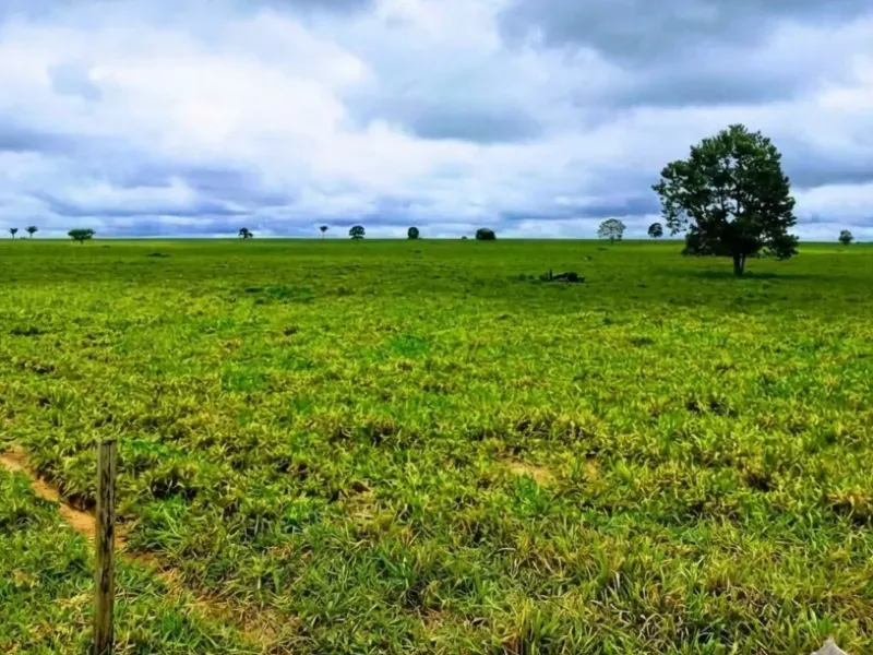 Fazenda em Juína/Mato Grosso — Ref D68FZO — Imagem 3