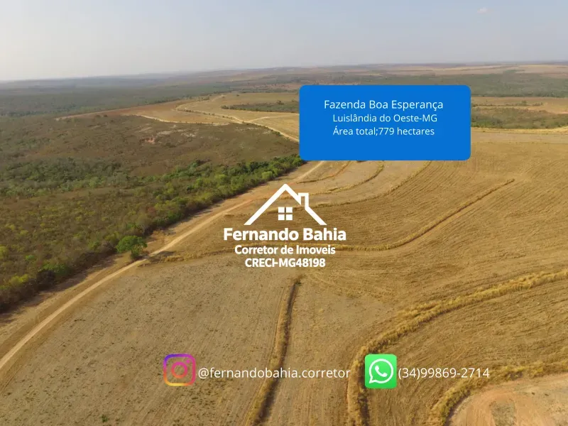 Fazenda em Luislândia/Minas Gerais — Ref L85QNP — Imagem 3