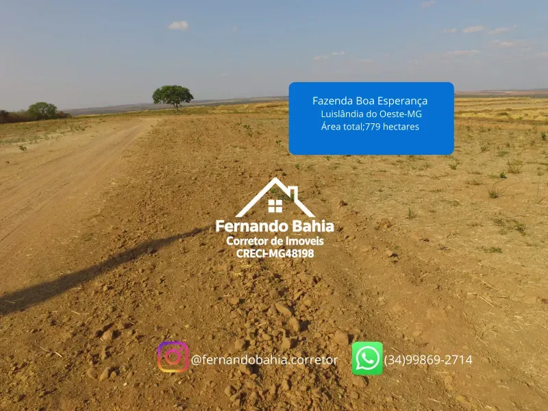 Fazenda em Luislândia/Minas Gerais — Ref L85QNP — Imagem 4