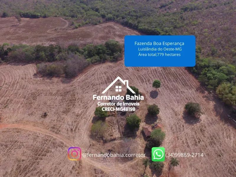 Fazenda em Luislândia/Minas Gerais — Ref L85QNP — Imagem 7