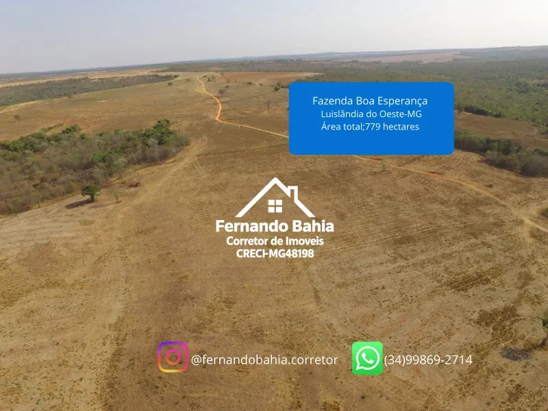 Fazenda em Luislândia/Minas Gerais — Ref L85QNP — Imagem 8