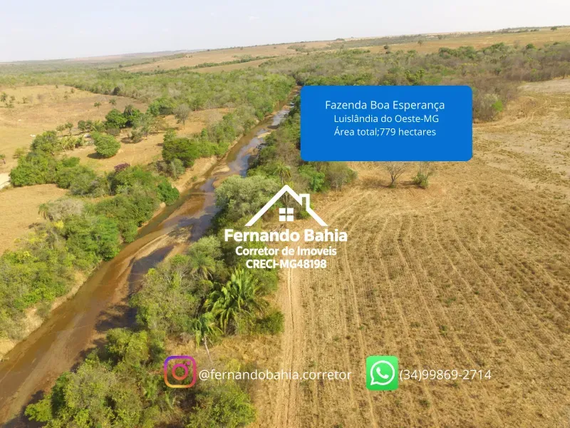 Fazenda em Luislândia/Minas Gerais — Ref L85QNP — Imagem 9