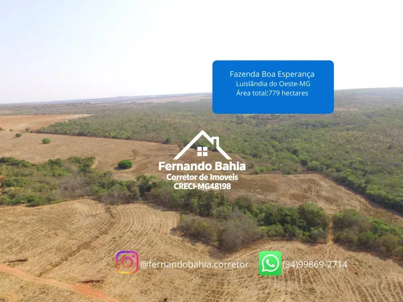 Fazenda em Luislândia/Minas Gerais — Ref L85QNP — Imagem 11