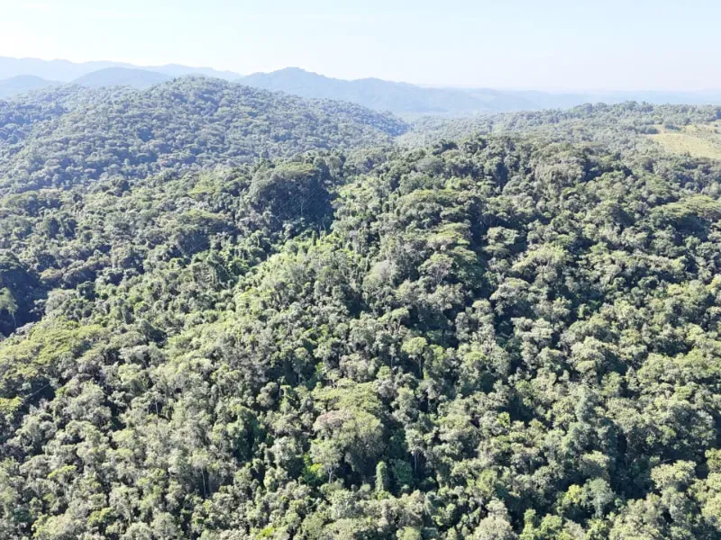 Fazenda em Miracatu/São Paulo — Ref PKMU9C — Imagem 12