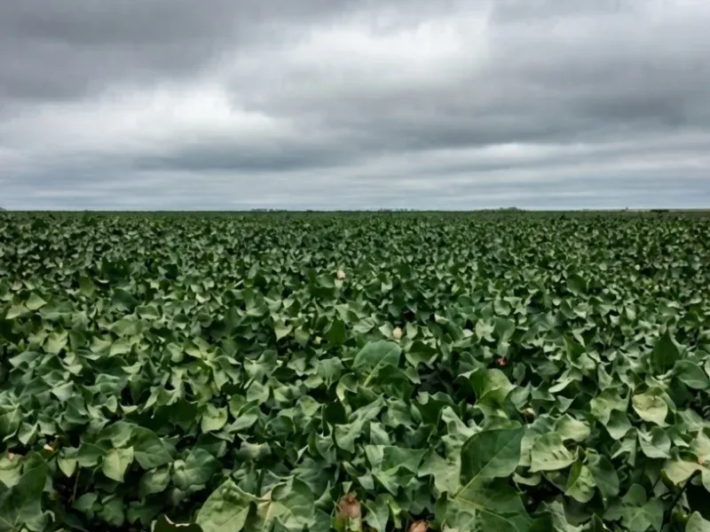 Fazenda em Diamantino/Mato Grosso — Ref BFRZJH — Imagem 2