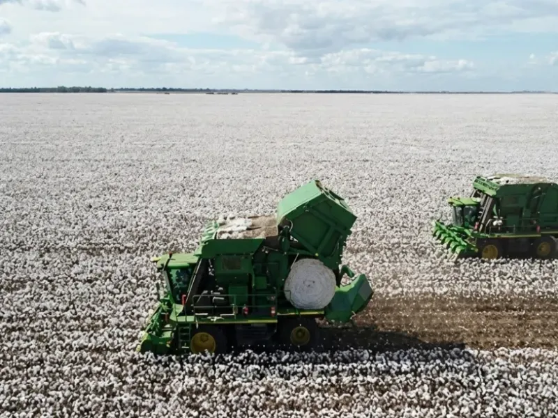 Fazenda em Ipiranga do Norte/Mato Grosso — Ref VV7DBS — Imagem 11