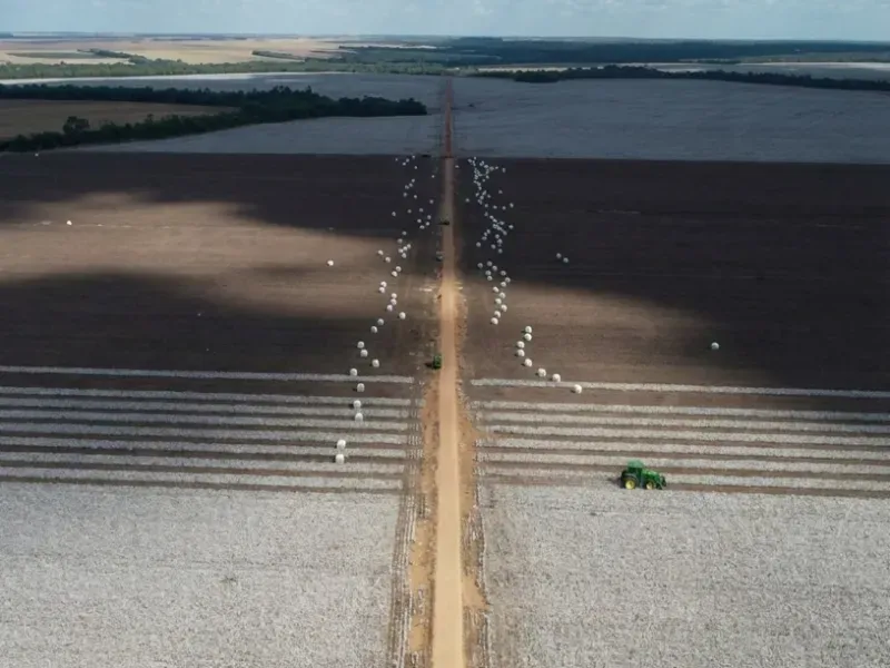 Fazenda em Ipiranga do Norte/Mato Grosso — Ref VV7DBS — Imagem 13