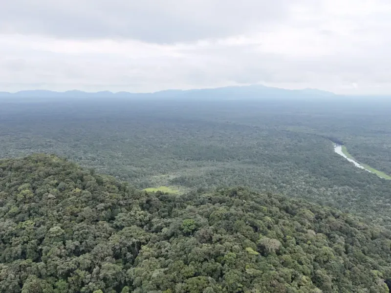 Fazenda em Iguape/São Paulo — Ref 818RHV — Imagem 10