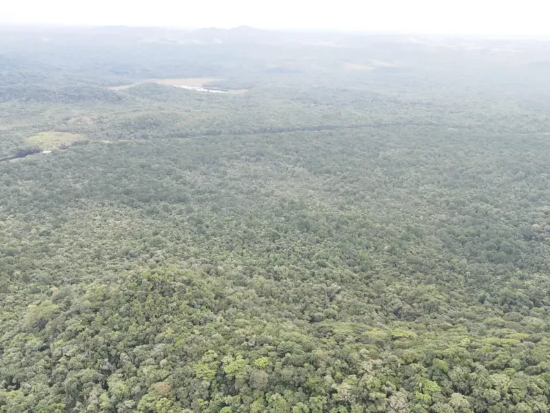 Fazenda em Iguape/São Paulo — Ref 818RHV — Imagem 12