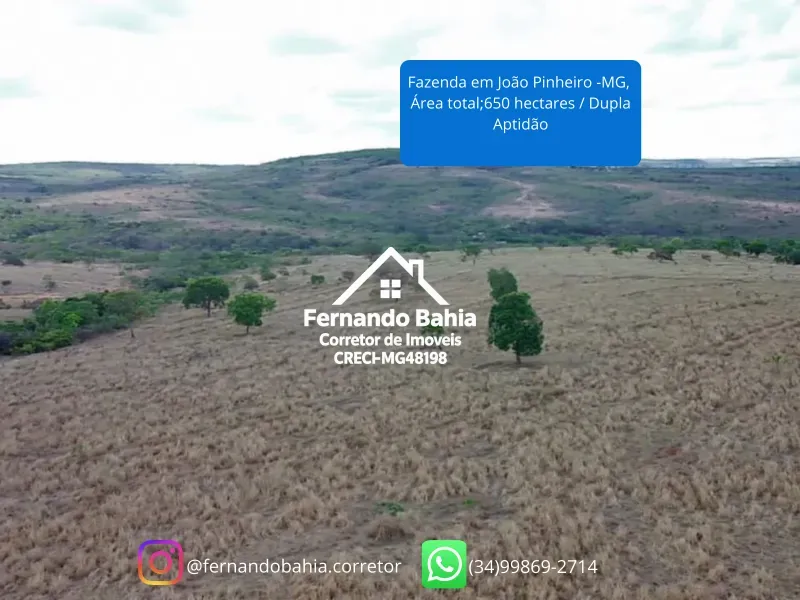 Fazenda em João Pinheiro/Minas Gerais — Ref 4GAOXN — Imagem 6