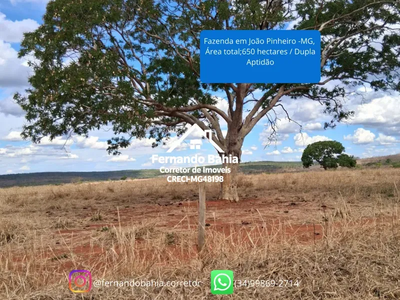 Fazenda em João Pinheiro/Minas Gerais — Ref 4GAOXN — Imagem 8