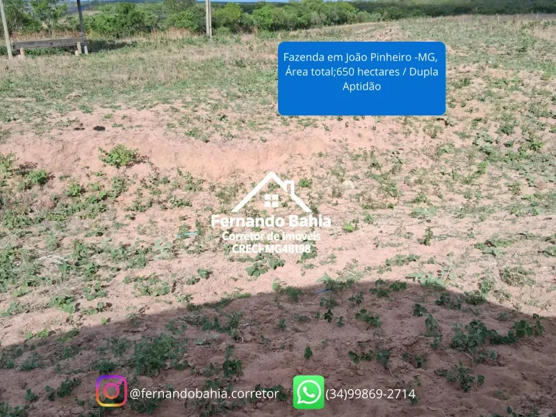 Fazenda em João Pinheiro/Minas Gerais — Ref 4GAOXN — Imagem 9