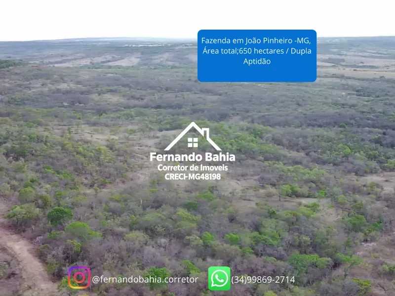 Fazenda em João Pinheiro/Minas Gerais — Ref 4GAOXN — Imagem 12